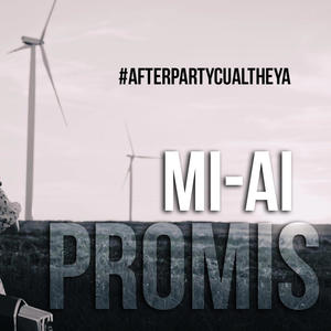 Mi-ai promis
