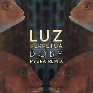 Luz Perpetua (Pyura Remix)