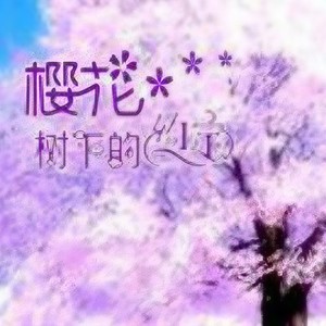 樱花树下的约定 (咚鼓版)