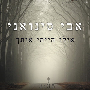 אילו הייתי איתך