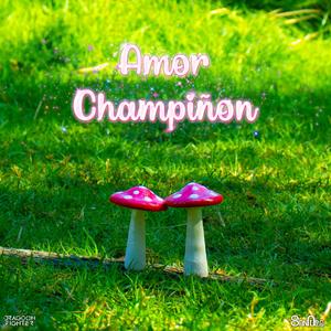Amor Champiñon