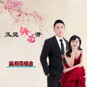 又见桃花开 (伴奏)