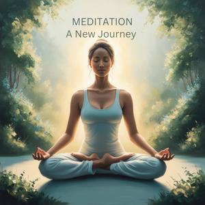 Meditation a New Journey