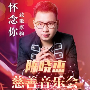 怀念你演唱会版