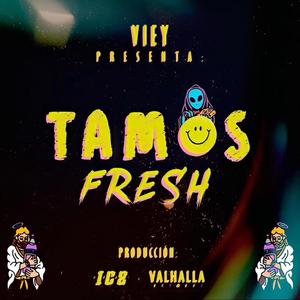 Tamos Fresh (Explicit)