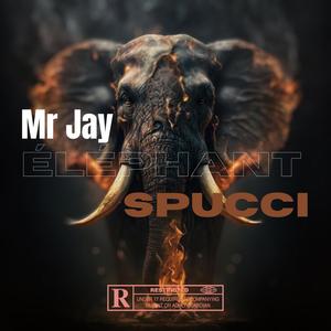 Éléphant (feat. MR_JAY) [Explicit]