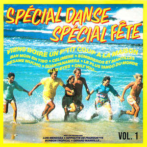 Spécial danse, spécial fête, Vol. 1