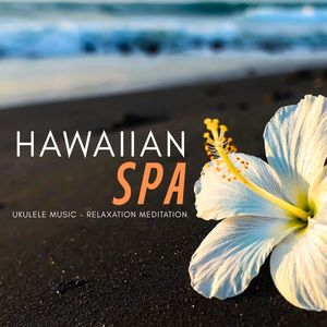 Rollercoaster Sea Ride