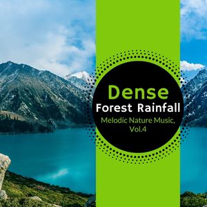 Dense Forest Rainfall - Melodic Nature Music, Vol.4