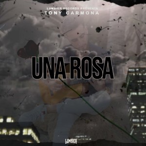 Una Rosa