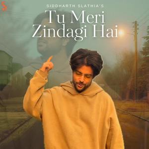 Tu Meri Zindagi Hai