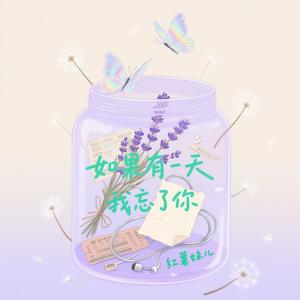 如果有一天我忘了你