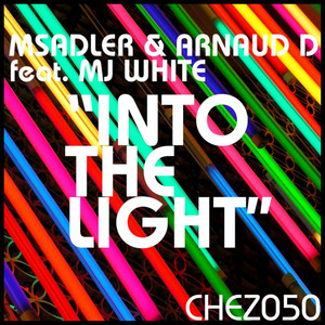 Into the Light (Original MIX)