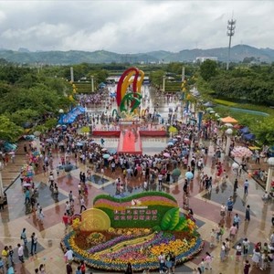 七月十四致爸妈