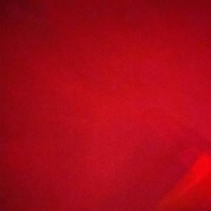 Summer/Rose (feat. Adrian & ICYTWAT) (Explicit)