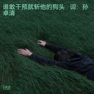 谁敢干预台湾就斩他的狗头