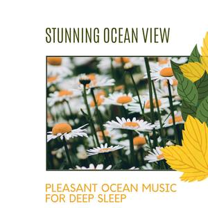 Stunning Ocean View - Pleasant Ocean Music for Deep Sleep