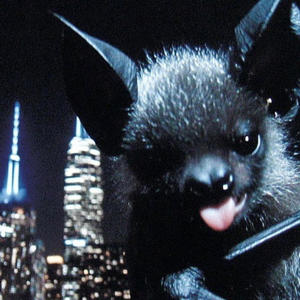 kiss me to the beat (feat. Noztalgia)