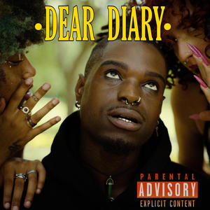 DEAR DIARY