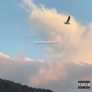 hummingbirds (4 you)