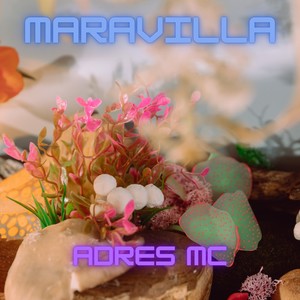 Maravilla