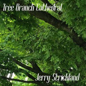 Tree Branch Cathedral