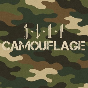 Camouflage (Explicit)