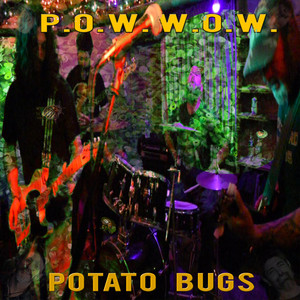 Potato Bugs