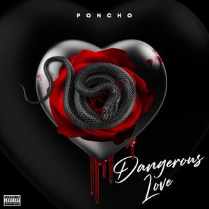 Dangerous Love (Explicit)