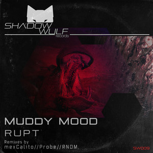 Muddy Mood (RNDM. Remix)