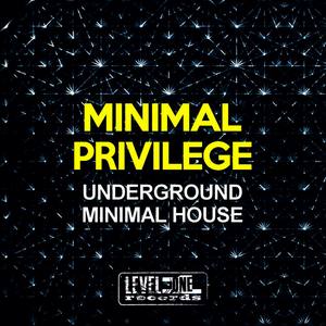 Minimal Privilege (Underground Minimal House)