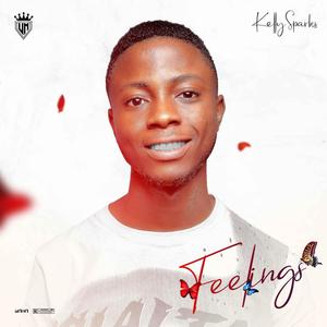 Feelings(feat. Kelly Sparks)
