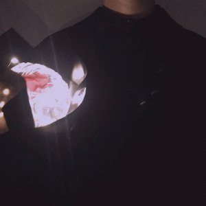 青春的味道 (Demo)