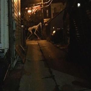 Kreatures (feat. yokaiu_) (Explicit)