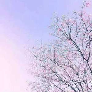 水星记