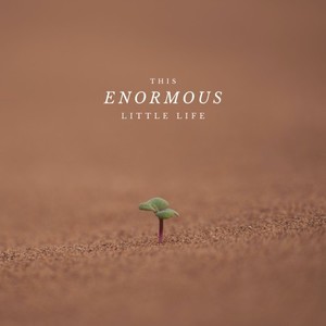 This Enormous Little Life