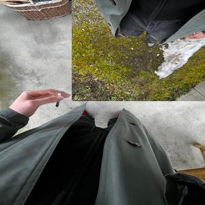 WONDERLAND (Explicit)