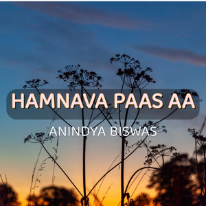 Hamnava Paas Aa