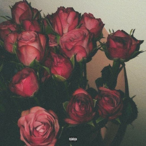 LIVE OR DIE (Explicit)