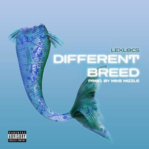 Different Breed (Explicit)