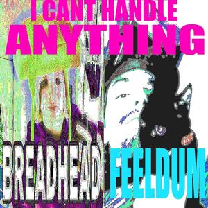 I Can't Handle Anything (Explicit)