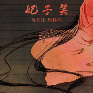 妃子笑 (DJ武圣雄版)封面