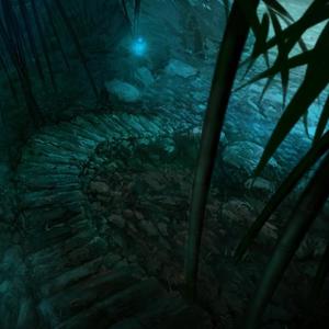 我的一个道姑朋友