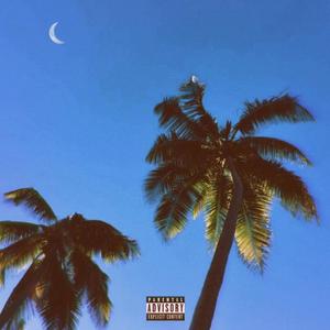 FLÆ - 1000 Lieder (Explicit)