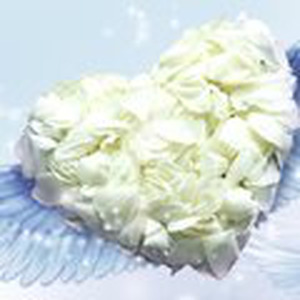 今天你要嫁给我