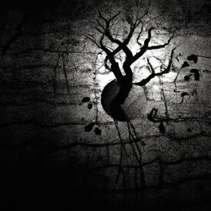 Ayesha Al-Hamad - Mensds