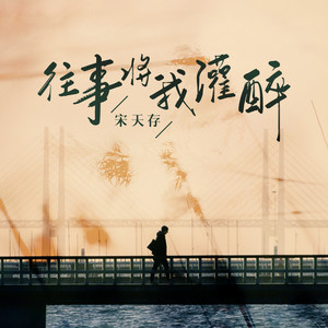 往事将我灌醉