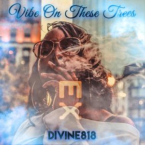Vibe On These Trees