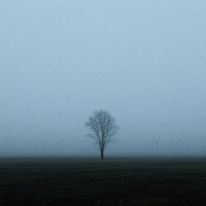 只愿你安然无恙