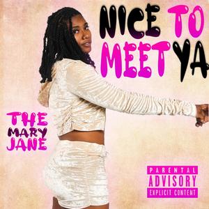 Nice To Meet Ya (Explicit)